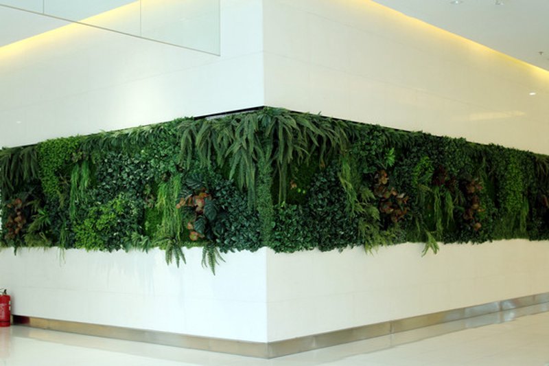 仿真植物墙：办公环境的绿色革命