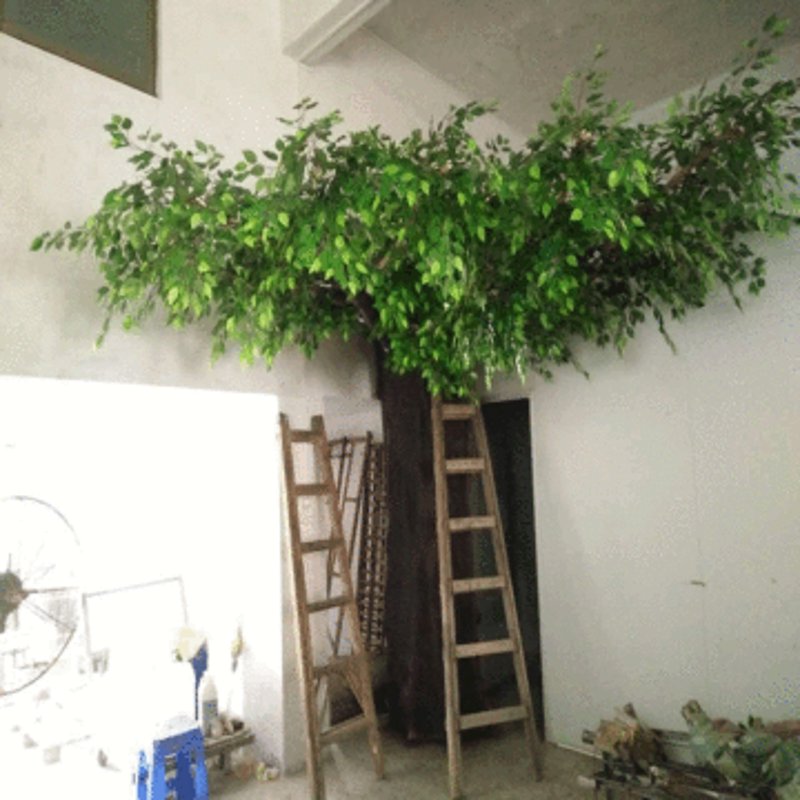 东莞仿真植物